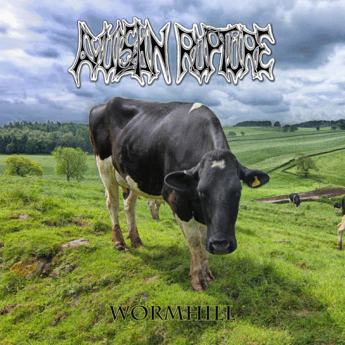 Avulsion Rupture : Wormhill Avulsion Rupture : Wormhill